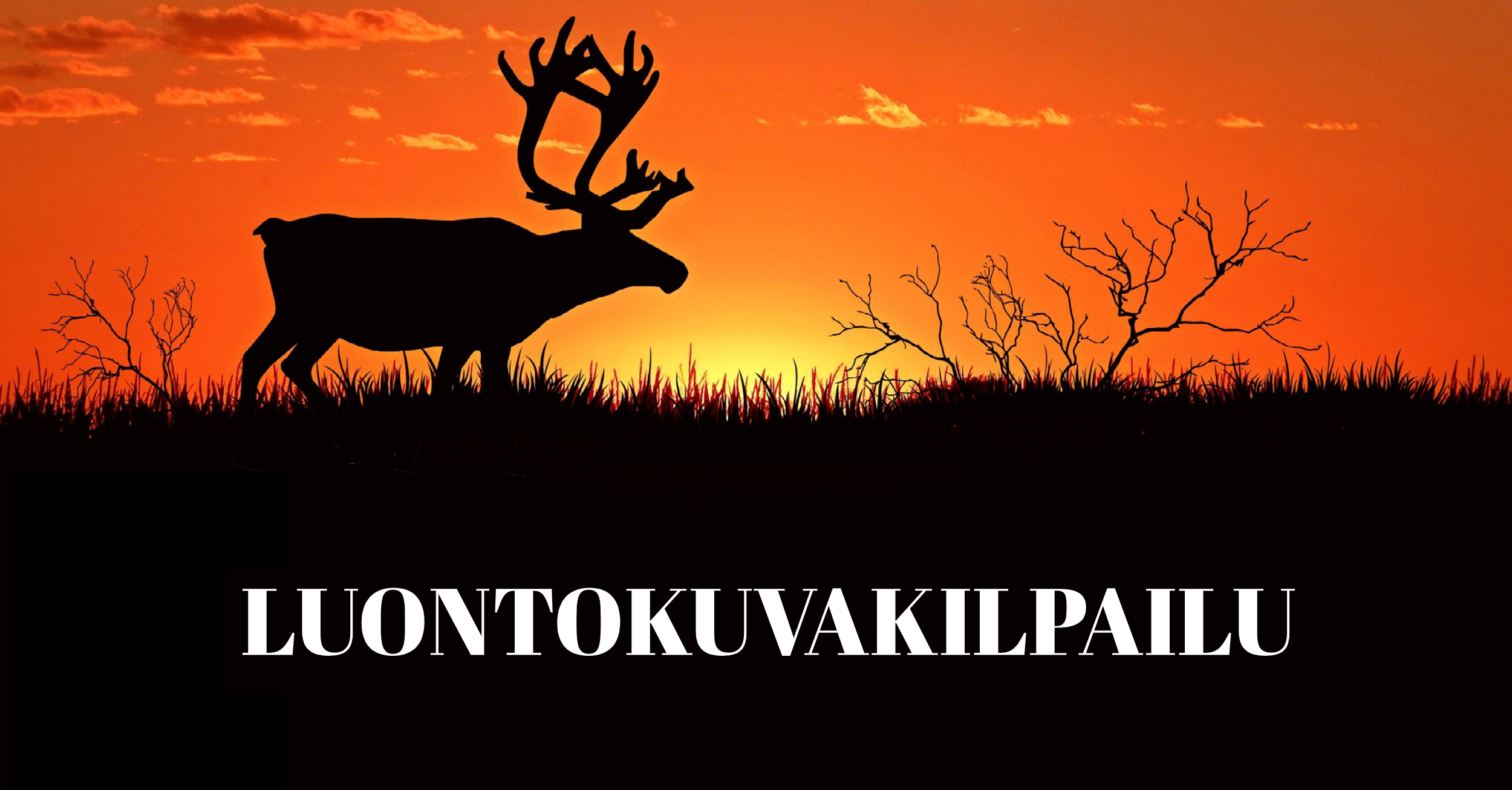 Luontokuvakilpailu 